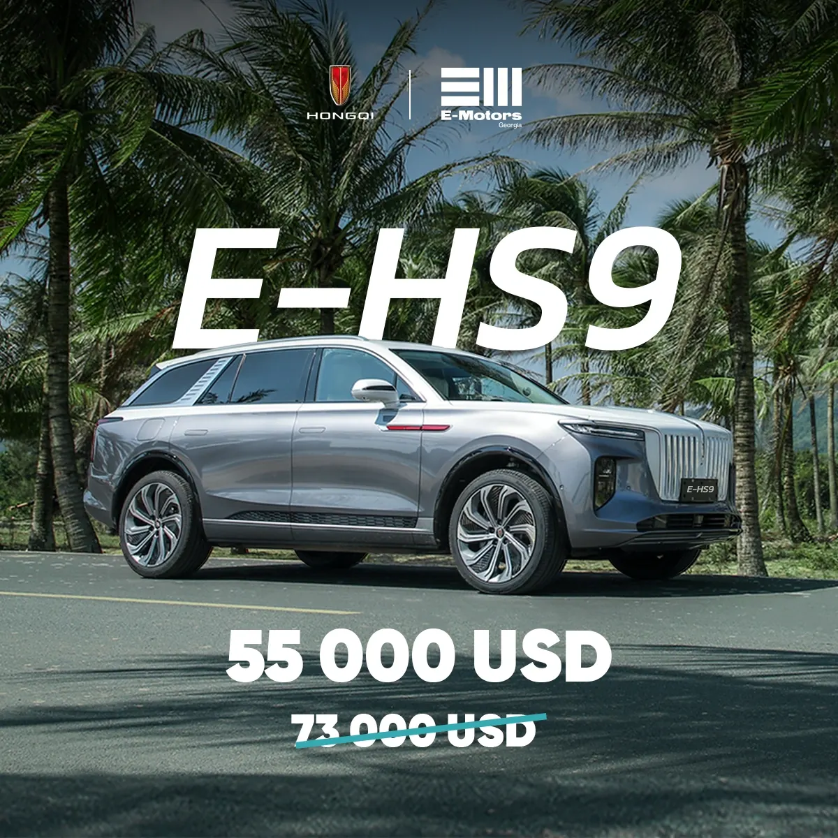 Hongqi E-HS9 · премиальная подача